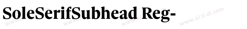 SoleSerifSubhead Reg字体转换